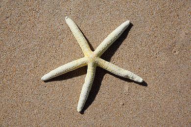 《龙腾世纪4：恐狼》开发者泄露游戏将于2024年发售